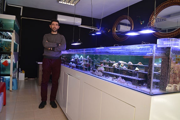 DENİZ AKVARYUMUNA YOĞUN TALEP