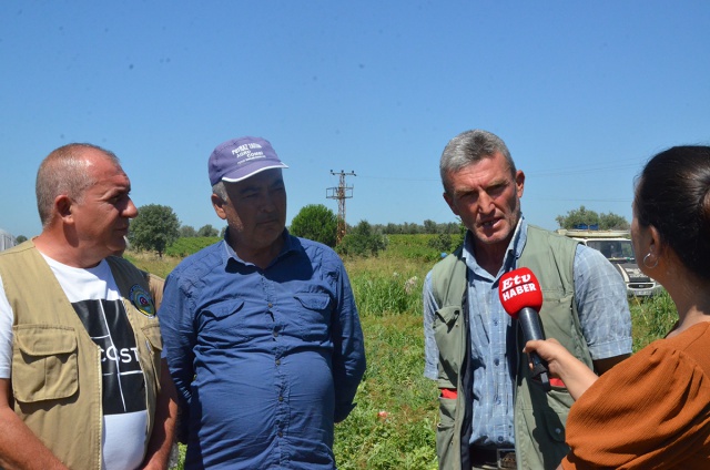 MEŞHUR POYRAZ KARPUZU’NDA ÜRETİM AZALIYOR ÇİFTÇİ MALİYETLERİN ALTINDAN KALKAMIYOR