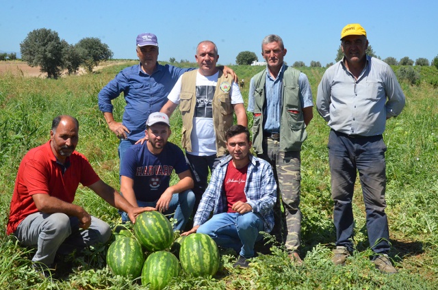 MEŞHUR POYRAZ KARPUZU’NDA ÜRETİM AZALIYOR ÇİFTÇİ MALİYETLERİN ALTINDAN KALKAMIYOR