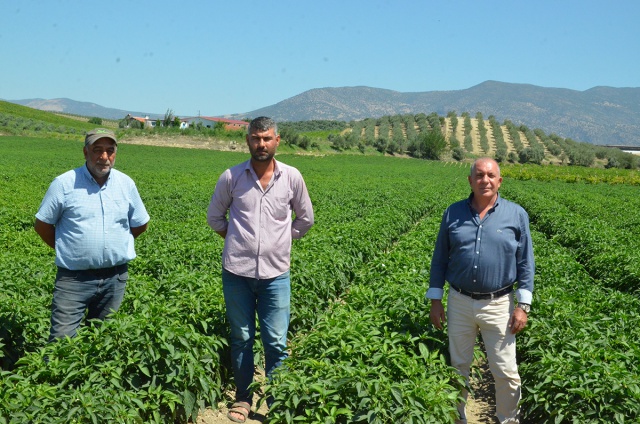 “TABAN FİYATIN EN AZ 27 LİRA OLMASI GEREKİYOR”