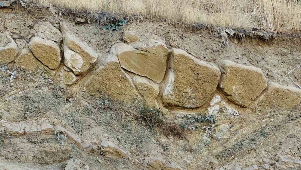 Yüksekova’da gizemli buluntu heyecanı: Esnaf tarihçilere çağrı yaptı
