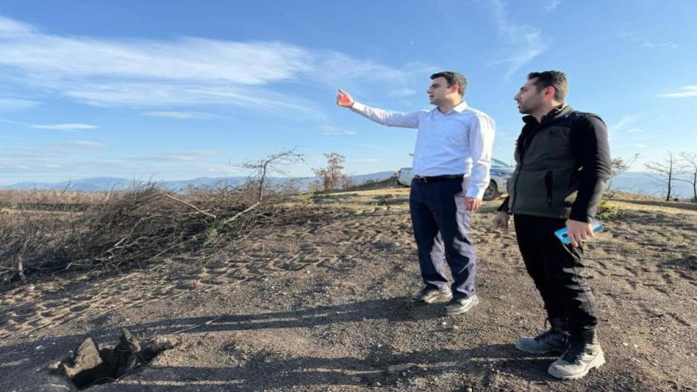 Yangın alanları yeşile bürünüyor
