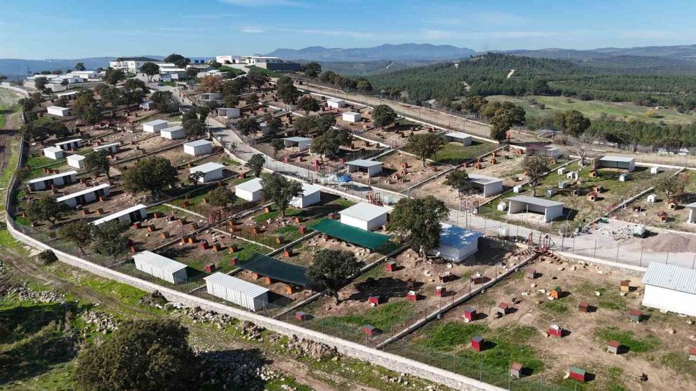 Yunusemre’de sokak hayvanları için örnek yaşam merkezi
