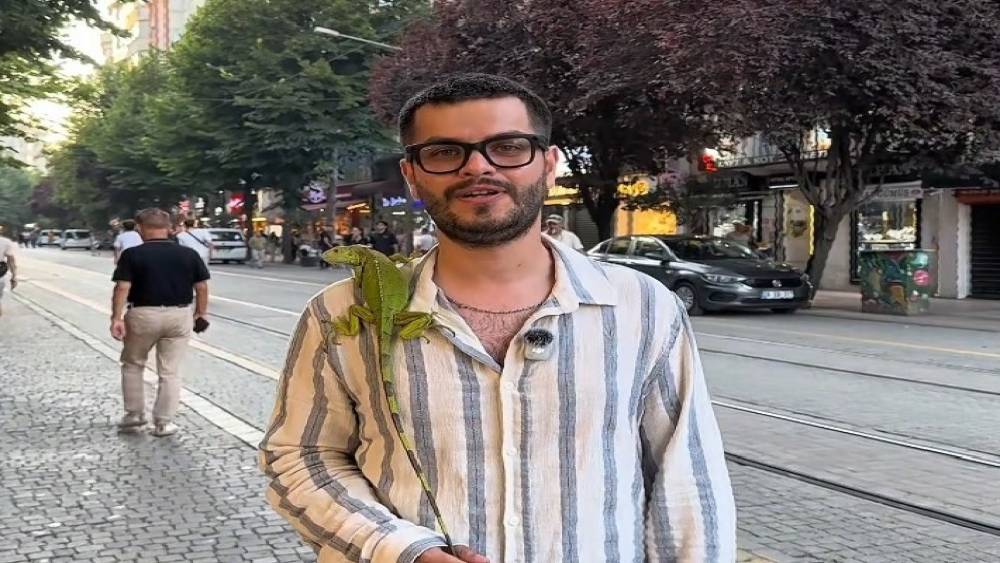 Sokakta iguana g&ouml;ren &ccedil;ocuklar yanına koştu
