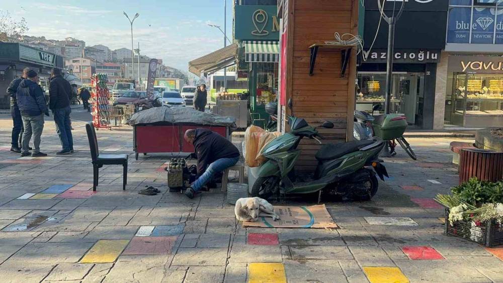 Hayata tutunan engelli köpeğe bebek gibi bakıyor
