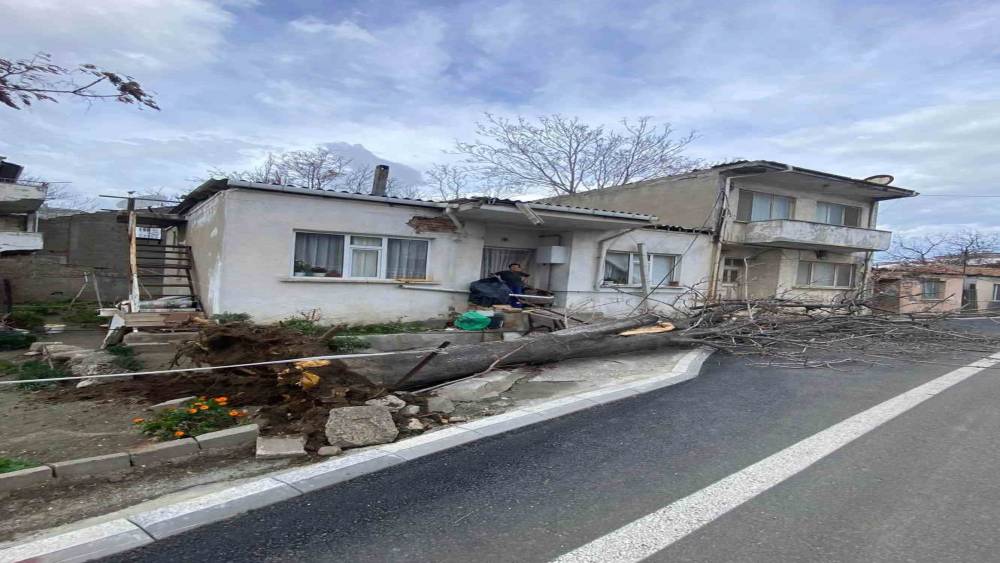 &Ccedil;anakkale&rsquo;de lodos fırtınasında devrilen ağa&ccedil; evin &ccedil;atısına zarar verdi
