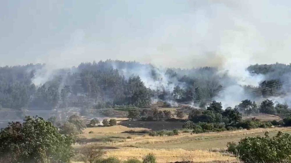 Balıkesir&rsquo;de orman yangınına m&uuml;dahale s&uuml;r&uuml;yor
