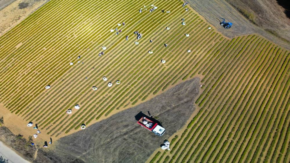 Tokat’ta bisikletini motosiklete çeviren gence ceza yağdı
