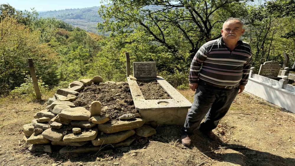 Mezarı kazıp tahtaları kıran ayı cenazeye ulaşamadan kaçtı
