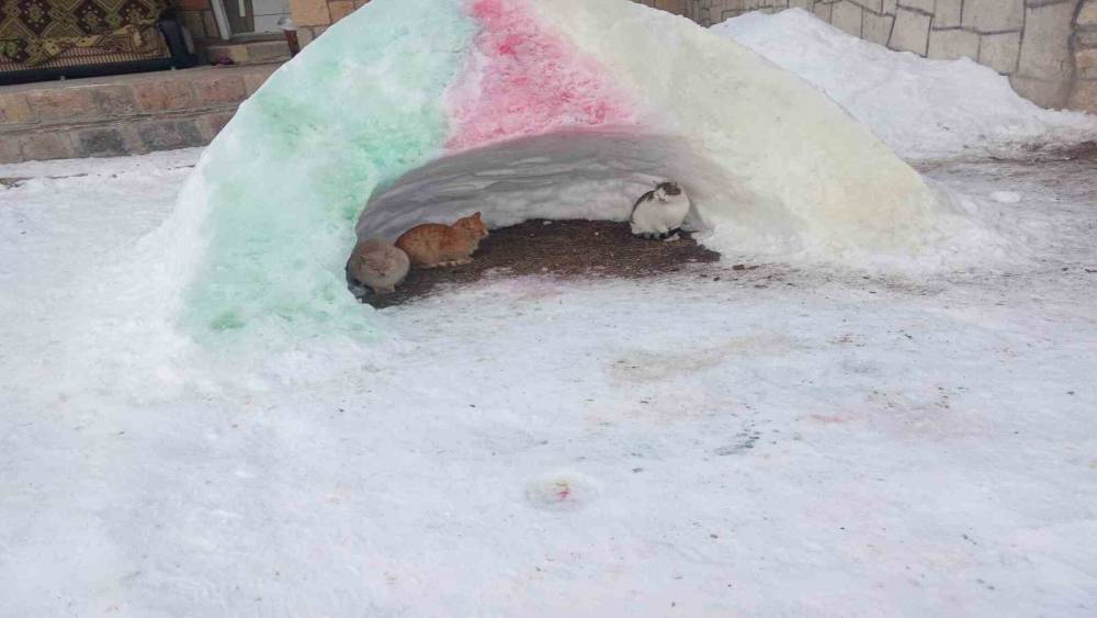 Diyadin&rsquo;de hayvanlara kardan barınak
