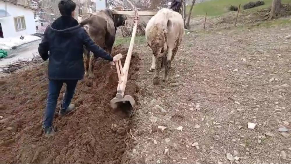 Zamana direnen gelenek: Bah&ccedil;esaray&rsquo;da trakt&ouml;r&uuml;n giremediği dik yama&ccedil;larda karasaban mesaisi
