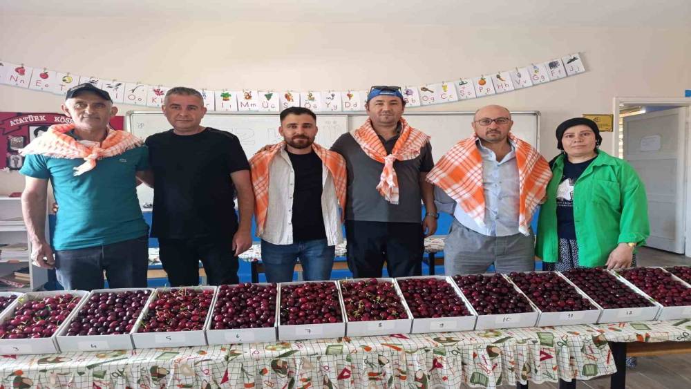 Binlerce insan Kiraz Festivali için Börez’e akın etti