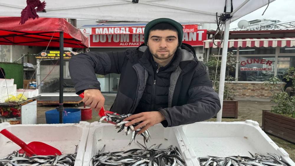 Zonguldak&rsquo;ta tezgahta hamsinin yerini istavrit ve mezgit alacak
