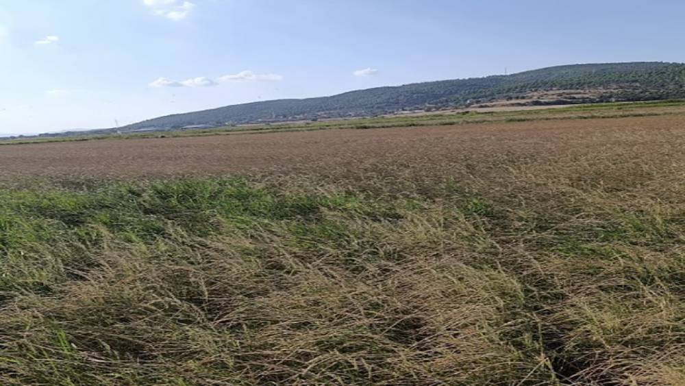 Gönen’de sulama krizi: Çiftçi saatlik suya mahkum
