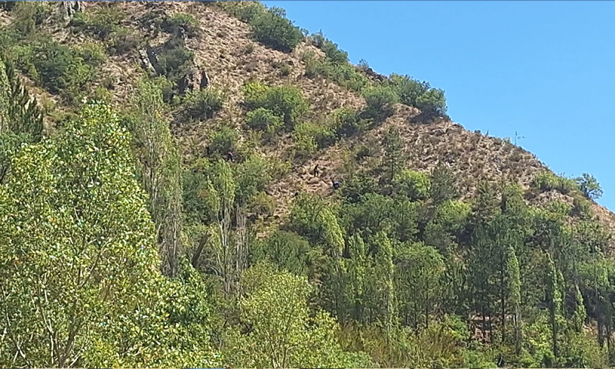 10 Gündür Kayıp Olarak Aranan Yaşlı Adam Ölü Bulundu