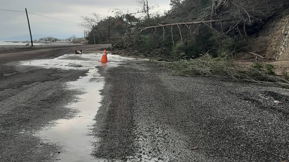 Kastamonu&rsquo;da heyelanda istinat duvarını aşan ağa&ccedil;lar yola kadar geldi
