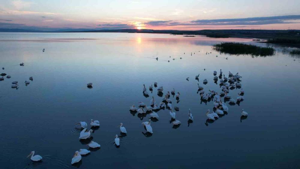 Sonbaharda Manyas Gölü’nde pelikan ve flamingo ziyaretleri
