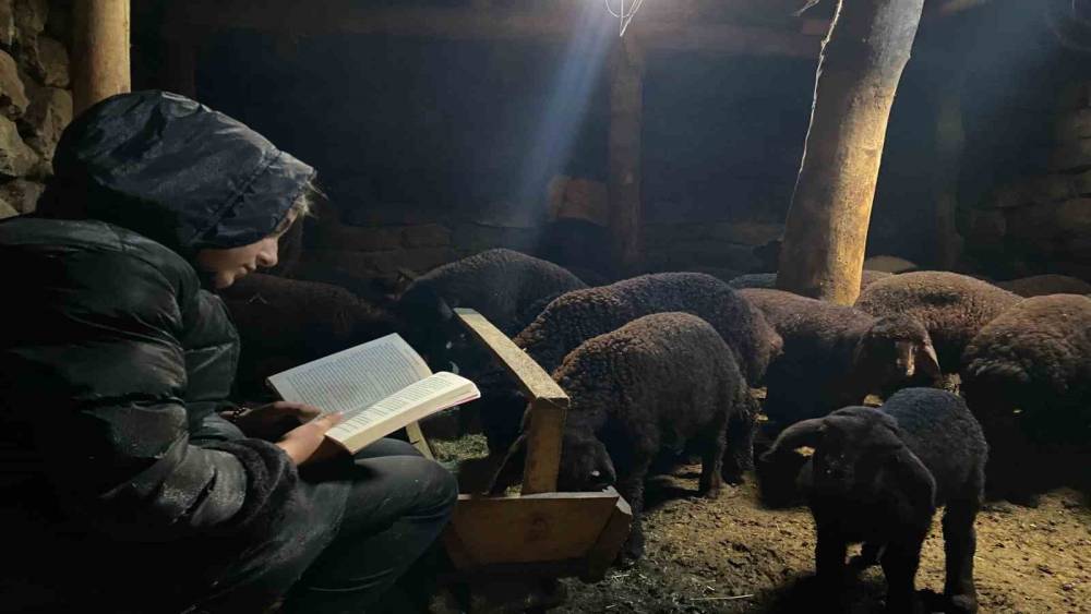 G&uuml;nd&uuml;z hayvan bakıyor gece hayalleri i&ccedil;in &ccedil;alışıyor
