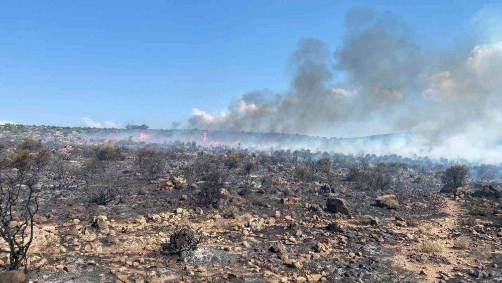 İzmir&rsquo;de makilik alanda yangın
