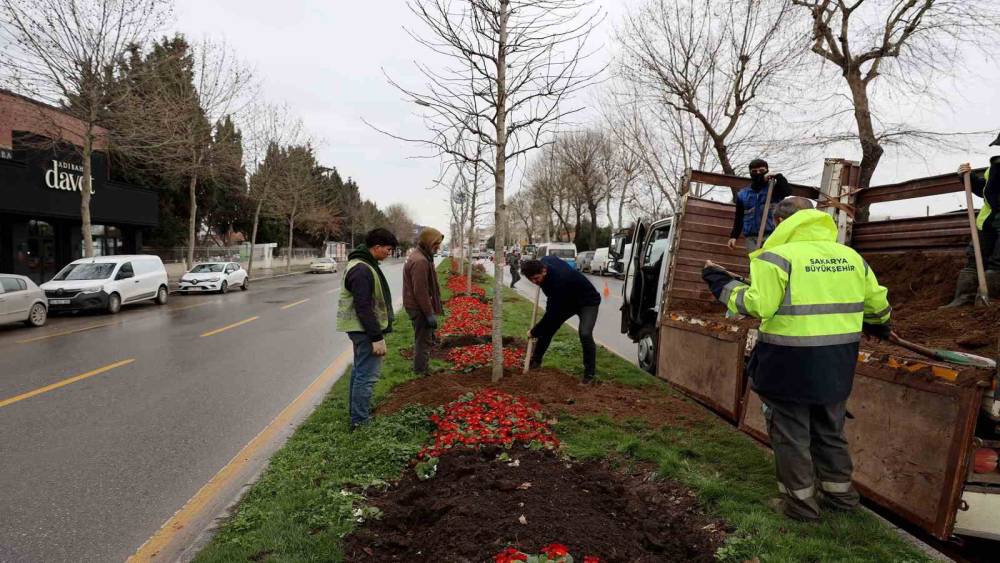Sakarya&rsquo;da 3 ayda 2 bin 500 ağa&ccedil; dikildi
