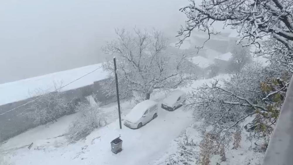 Van’ın Bahçesaray ilçesinde kar etkili oldu
