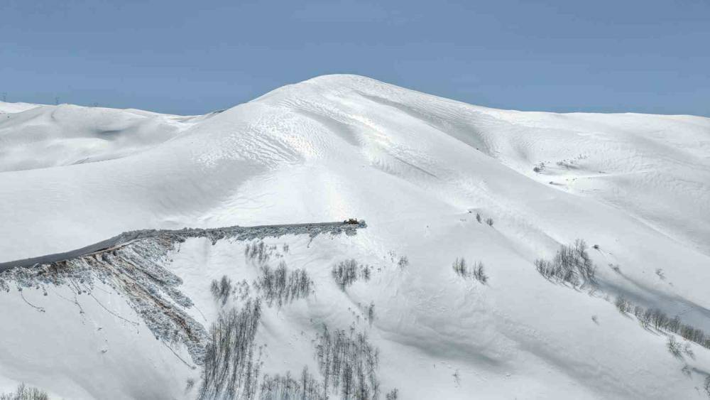 17042026105952 dc3aa312061366800c162220ccdd2925