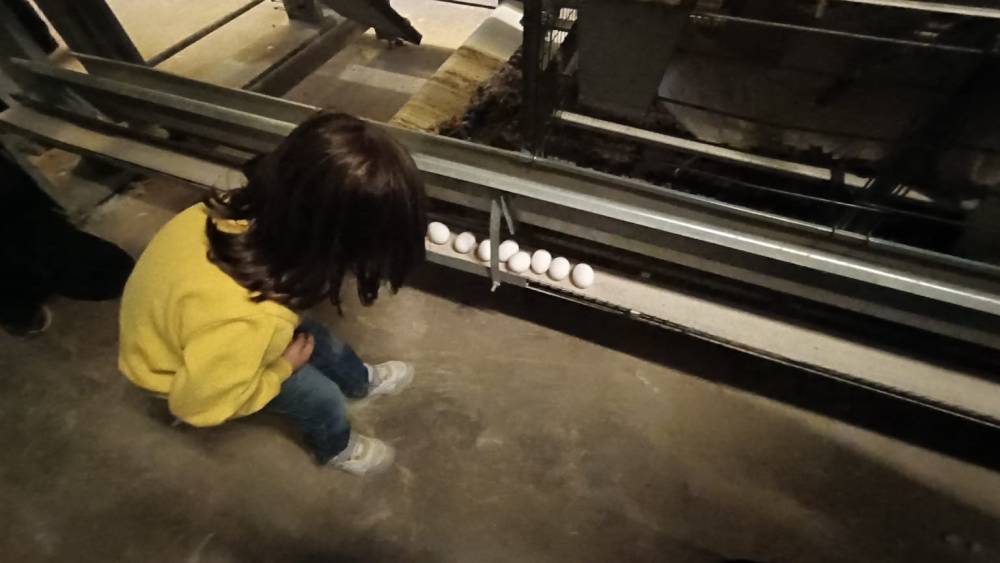 Niğde’de çeşitli suçlardan aranan 5 şahıs yakalandı
