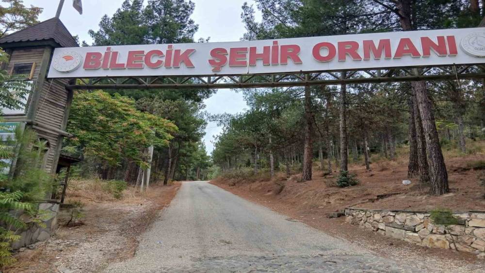 Bilecik Şehir Ormanı&rsquo;nın yolları k&ouml;stebek yuvasına d&ouml;nd&uuml;
