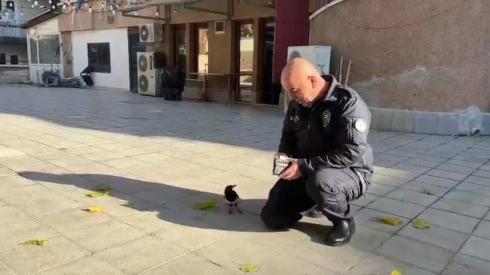 Polis memuru ile saksağan kuşunun dostluğu görenleri hayrete düşürdü
