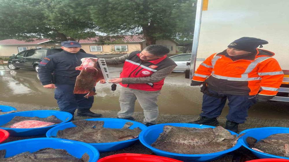 Ka&ccedil;ak avcılık operasyonunda 500 kalkan balığına el konuldu
