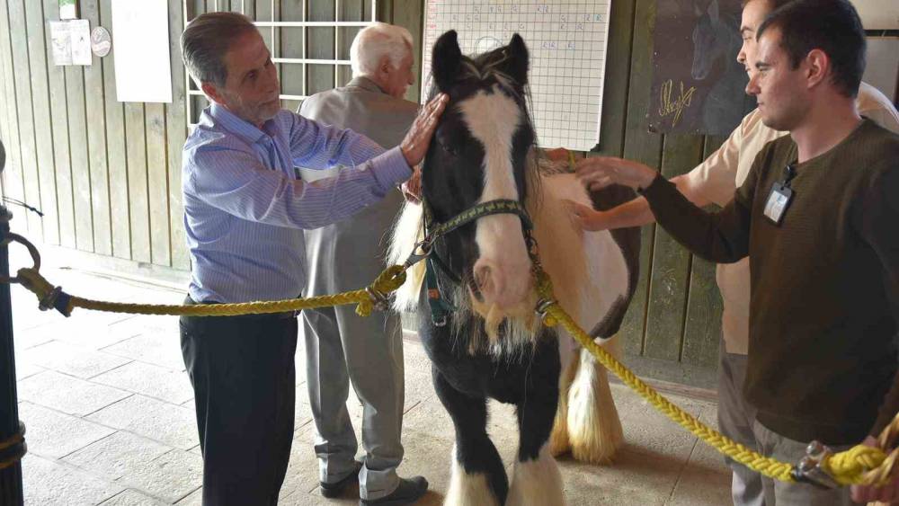 Pendik&rsquo;te atlarla şifa: Yaşlılar i&ccedil;in atla terapi d&ouml;nemi başladı

