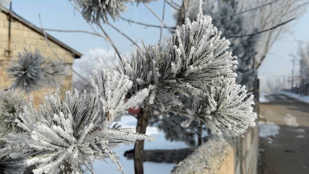 Ara&ccedil;larını soğuktan korumak i&ccedil;in battaniyelerle &ouml;rt&uuml;yorlar
