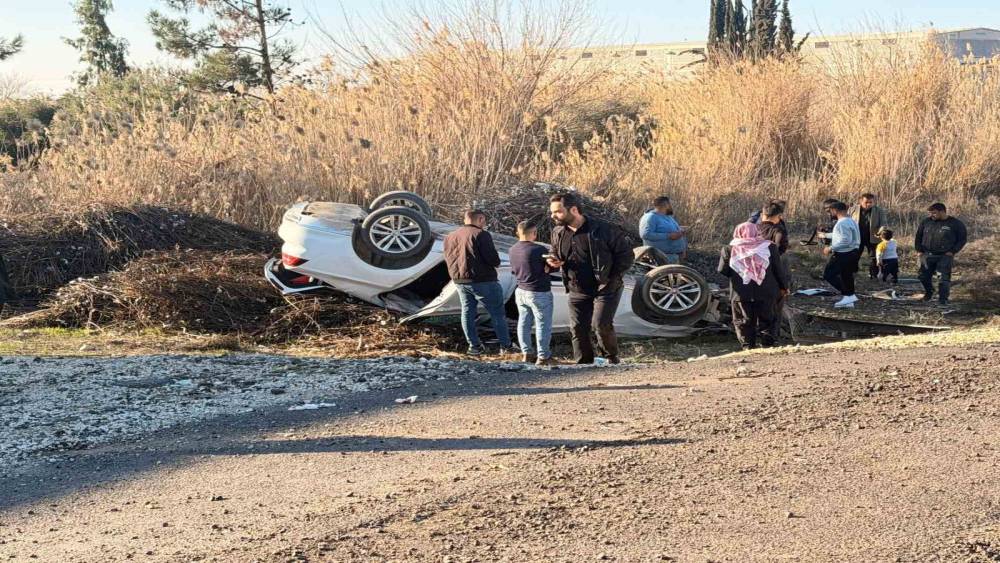 Pamuk sapları s&uuml;r&uuml;c&uuml;n&uuml;n hayatını kurtardı
