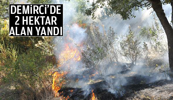DEMİRCİ’DE 2 HEKTAR ALAN YANDI