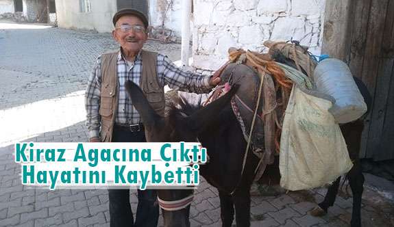 KİRAZ AĞACINA ÇIKAN YAŞLI ADAM HAYATINI KAYBETTİ