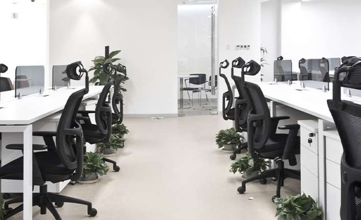 Verimliliğinizi Artırmaya Yardımcı Olacak Basit Ofis Dekorasyonları