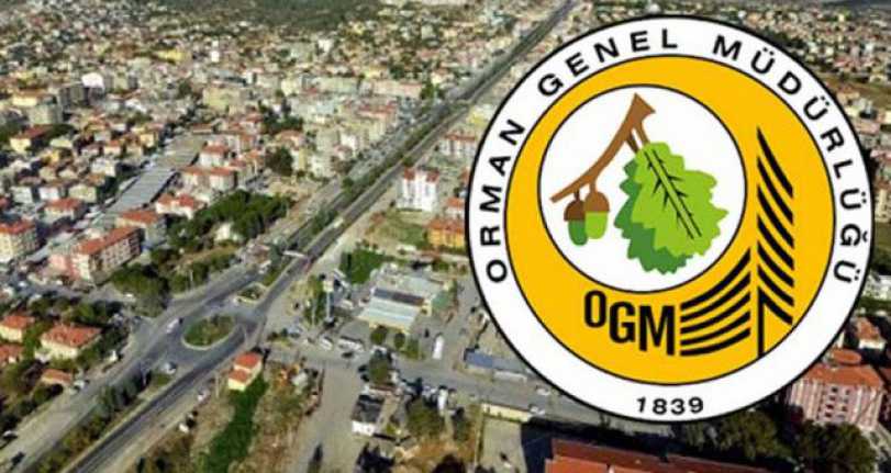 Orman dışı depolarda tasnif depolama danışmanlık hizmeti alınacaktır