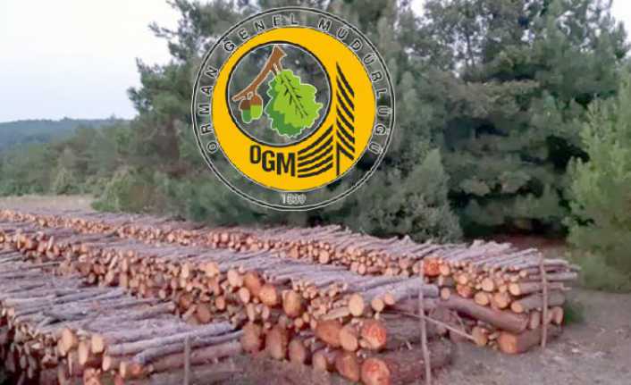 Ahşap &ccedil;it direği, dikenli tel ve tespit &ccedil;ivisi satın alınacaktır