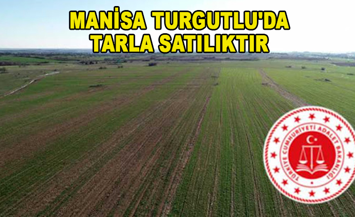Manisa Turgutlu&#039;da tarla satılıktır