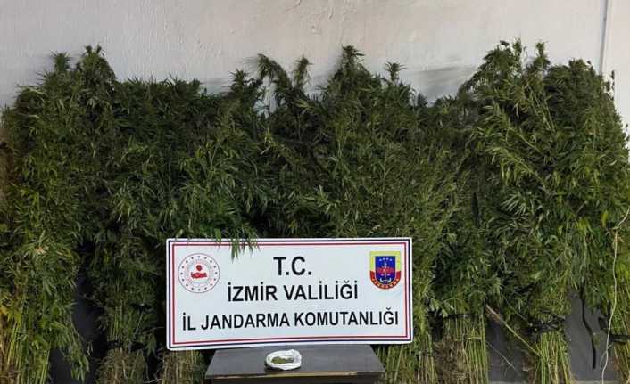 İzmir’in 4 ilçesinde zehir baskını: 14 gözaltı