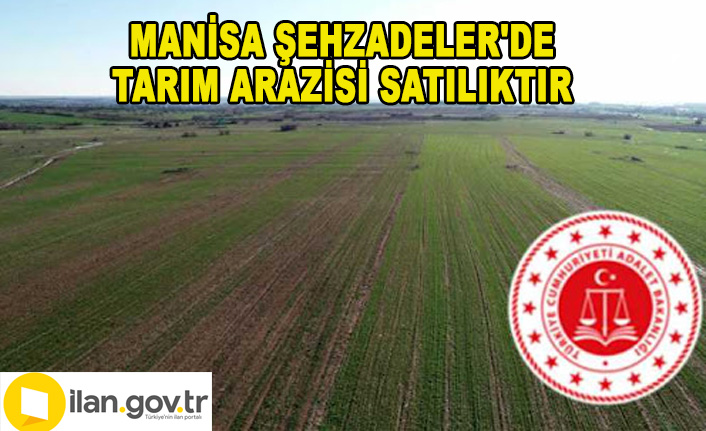 Manisa Şehzadeler&#039;de tarım arazisi satılıktır