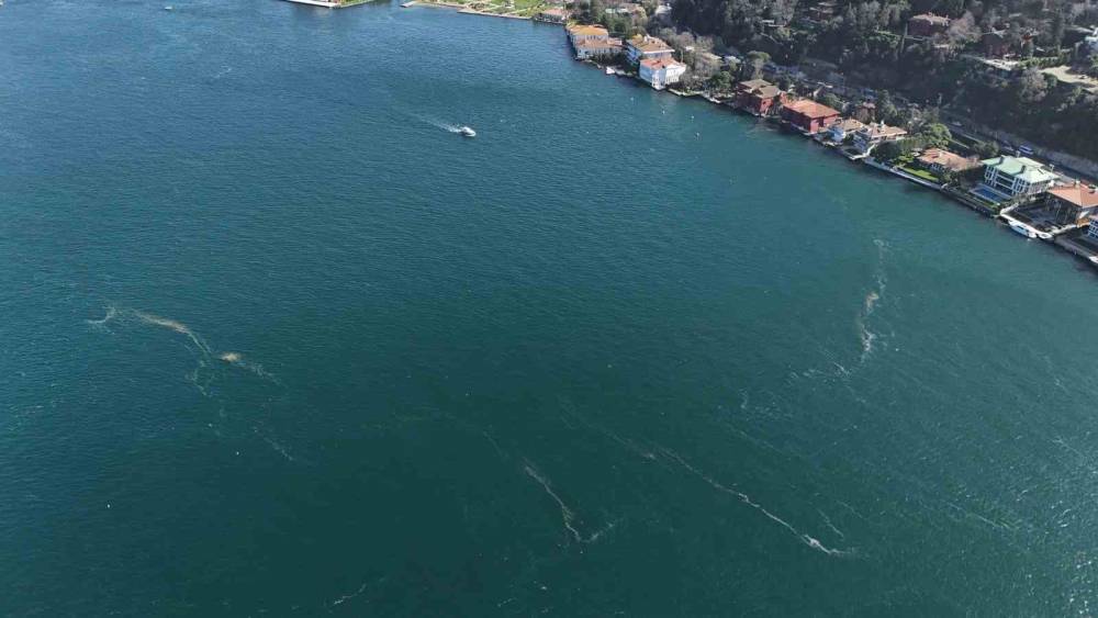 Boğaz’da alarm veren görüntü: Kirlilik denizanasını yüzeye çıkardı