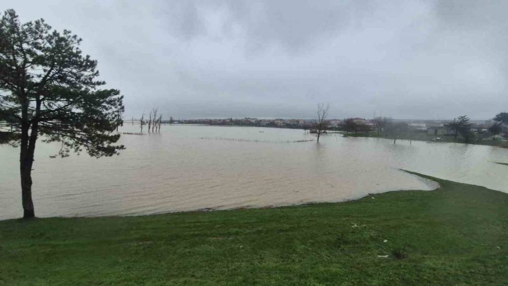 Meriç Nehri’nden taşan sular yaşam alanlarına kadar ulaştı