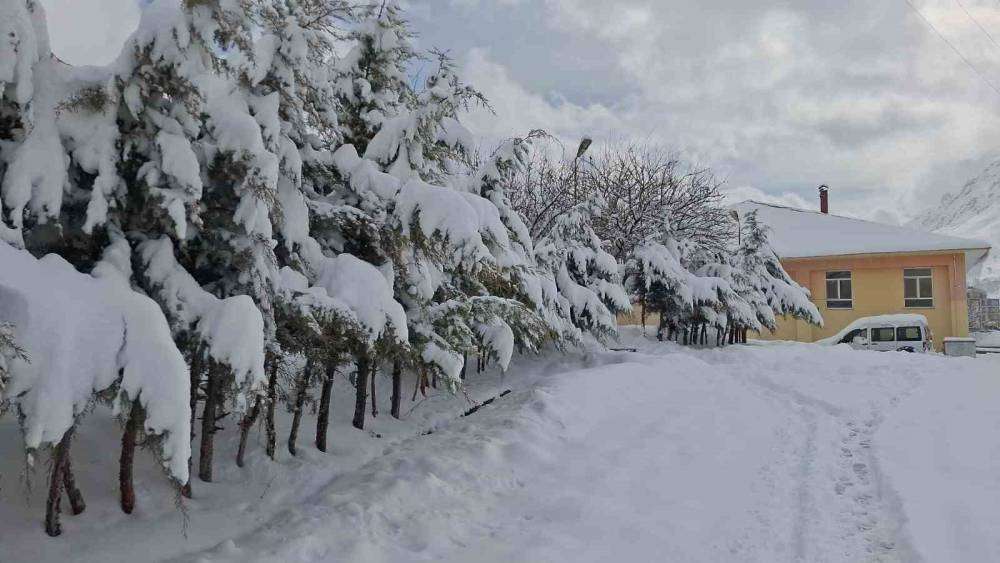 Tunceli’de kar yağışı hayatı olumsuz etkiliyor
