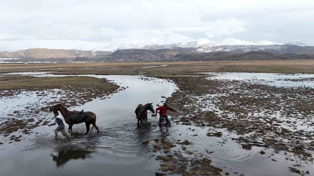 Atla gezi suda bitti

