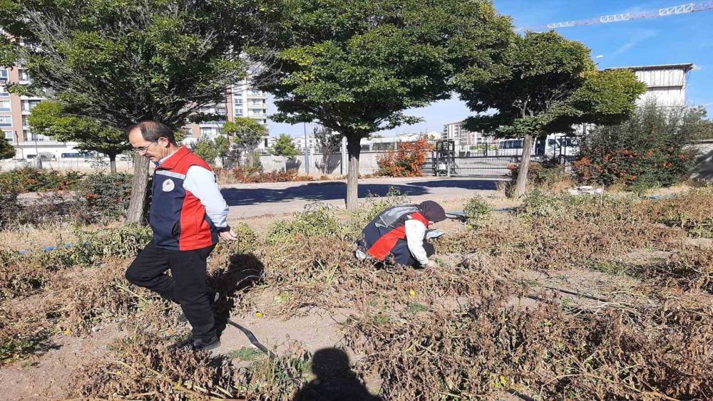 Karadeniz’in korkulu rüyası Sivas’ta görüldü
