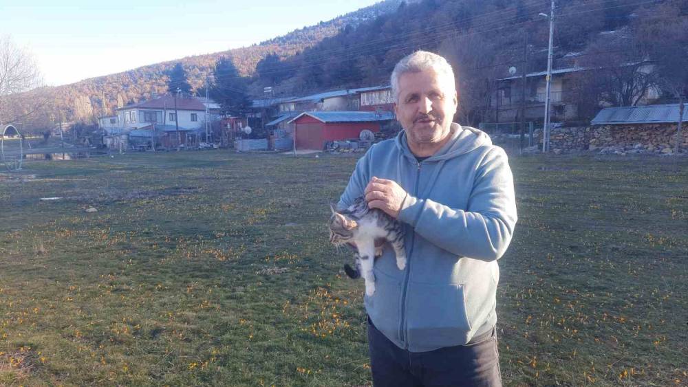 Konya&rsquo;da a&ccedil; kalan kediler i&ccedil;in 30 kilometre yol gitti
