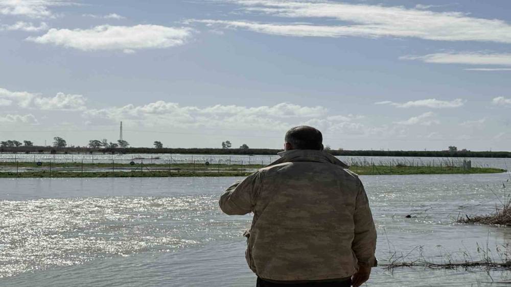 Seyhan Nehri taştı, Tarsus&rsquo;ta tarım arazileri sular altında kaldı
