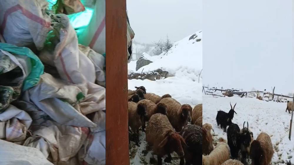 Hakkari&rsquo;de 1,5 metrelik kar: &Ccedil;ift&ccedil;iler &ccedil;aresiz
