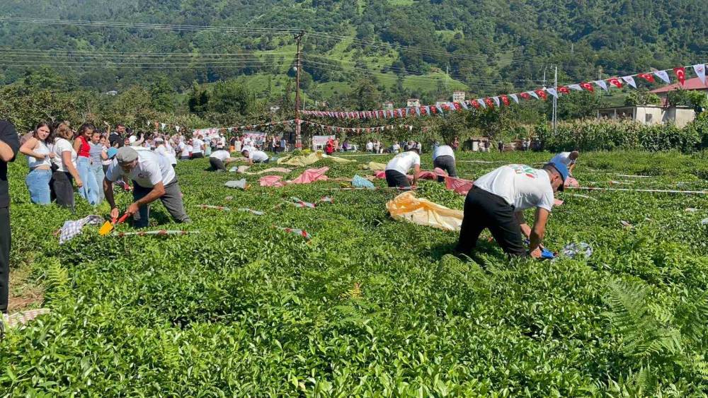 Güneyden Antep’in zılgıtı ve kuzeyden Artvin’in tulum sesi çaylıkta buluştu
